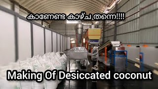 Desiccated Coconut Powder Manufacturing Process  Blueen Desiccated coconut factory Kannur [upl. by Emia]