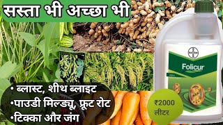 सस्ता भी अच्छा भी  Bayer folicur Fungicide  tebuconazole  Bayer  Fungicide [upl. by Emerej]