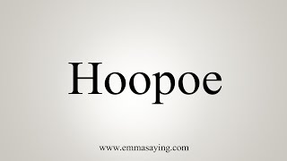 How To Say Hoopoe [upl. by Acinet114]