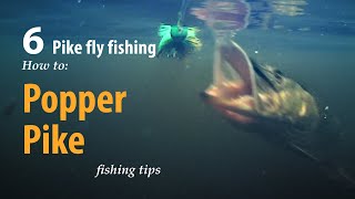 How to • Pike fly fishing • Pike Popper • fishing tips [upl. by Nodnek]