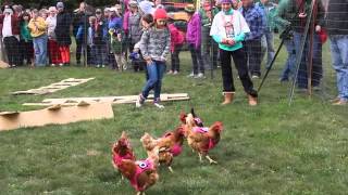 Chicken Race at Duntroon Hall [upl. by Adnak]