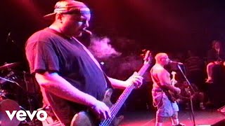 Sublime  Badfish Live At The Palace1995 [upl. by Hairabez]