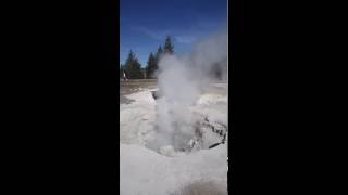 Yellowstone fumarole steam vent [upl. by Eillas]