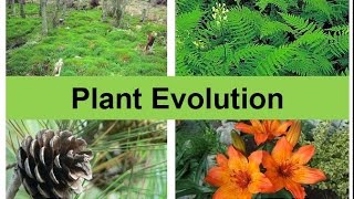 Plant Evolution updated [upl. by Noynek]