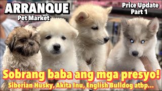 Arranque Pet Market Part 1  March 30 2023  Recto Manila [upl. by Faber261]