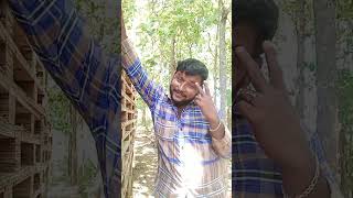 🌺Vasalile Poosani Poo🌺 tamil love songa song trandig shorts viral shorts [upl. by Novled432]