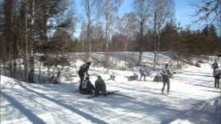 Vasaloppet 2012 high speed crashes Risberg vurpor [upl. by Fong327]