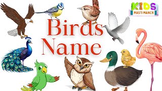 Birds name  Birds name in english  Birds video  Birds sound Birds name with spelling and picture [upl. by Hicks720]