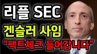 리플 전망겐슬러 사임 바로 팩트체크 들어갑니다 [upl. by Howlan]