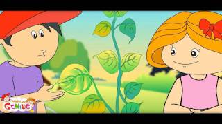 Photosynthesis  How Plants make Food 2Video for Kids by makemegeniuscom [upl. by Alyak]