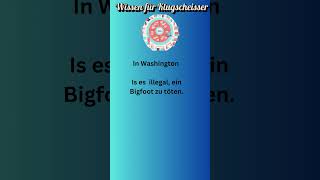 Wissen für Klugscheisser Teil 154 Skurrile Gesetze 27 [upl. by Eimac]