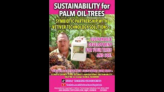 PALM OIL TREES BREAKTHROUGH INNOVATION in SUSTAINABILITY for SYMBIOTIC RELATIONSHIP WITH VETIVER [upl. by Gamal334]