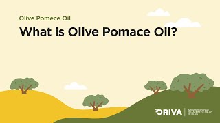 What is Olive Pomace Oil [upl. by Ware428]