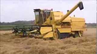 Barley Harvest 2013 New Holland Clayson 8055 [upl. by Rahmann]