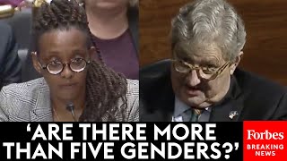 How Many Genders Are There John Kennedy Questions Human Rights Campaign Chief About Gender [upl. by Yak369]