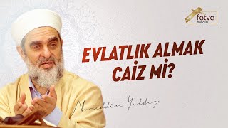 Evlatlık Almak Caiz Mi  Nureddin Yıldız  fetvameclisicom [upl. by Taggart]