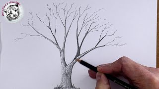 Como dibujar desde Cero 1 Como Dibujar un Arbol Realista [upl. by Virgina]