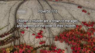 【One Minute a Day Easy and Enjoyable Bible Memorization】【Proverbs】 Proverbs 176 [upl. by Attela]