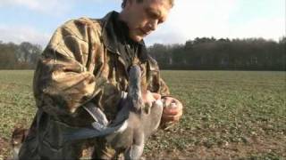 How to be a Pigeon Shooting Expert with James Marchington [upl. by Hannover451]