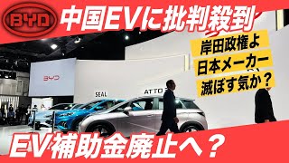 【中国EVに批判殺到】中国製EVに最大85万円の補助金 その批判がトンチンカンである理由を解説します [upl. by Ydnir441]