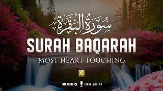 Surah Al Baqarah سورة البقره  THIS WILL TOUCH YOUR HEART إن شاء الله  Zikrullah TV [upl. by Noryk510]