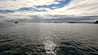 Saturday morning Fast Ferry to Provincetown [upl. by Aninaig]