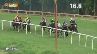 SEOLFOR BULLET wins The Heggadadevanakote Plate Div2 [upl. by Alimat]