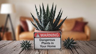 Dangerous Plants In Your Home [upl. by Tymothy]