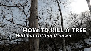 Howto KILL A TREE Without Cutting it Down Hack and Squirt [upl. by Enilec]