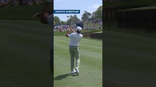 BEST PGA Shots of 2024 You Wont Believe Happened shorts golf [upl. by Egroeg]