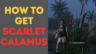 How to Get Scarlet Calamus in Once Human [upl. by Jeri721]