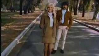 NANCY SINATRA amp LEE HAZLEWOODSUMMER WINE [upl. by Ydrah170]