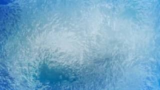 Frost  FREE Video Background Loop HD 1080p [upl. by Ninerb]