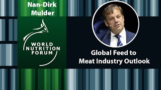 World Nutrition Forum 2018  NanDirk Mulder  Global Feed to Meat Industry Outlook [upl. by Ennovihc]