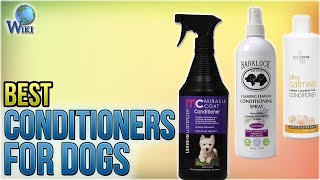 10 Best Conditioners for Dogs 2018 [upl. by Wing]