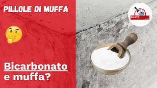 Pulire la muffa con Bicarbonato  quanto è efficace [upl. by Ahsenrat]