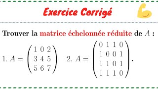 Matrice échelonnée réduite Exercice 1 de la série 2 de Tds SVT S1 [upl. by Saunderson]