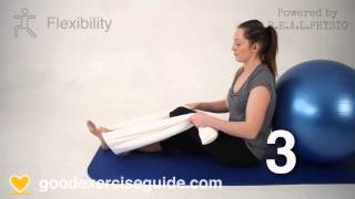 Ease Knee Stiffness Effectively Flexion  Extension Towel assisted [upl. by Aeki]