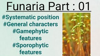 FunariaPart01General charactersGametophytic and sporophytic stage [upl. by Morly664]