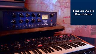 Vari Tube Recording Channel Dave Smith Instruments OB 6 no talking [upl. by Ojillek893]