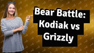 Is a Kodiak bear bigger than a grizzly [upl. by Eliades]