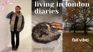 day in my life in London  adopting a kitten shopping college classes [upl. by Cut]