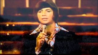 BOBBY GOLDSBORO HONEY [upl. by Akenehs]