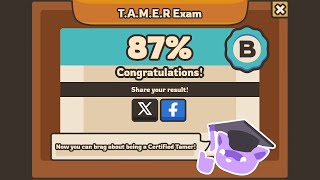 TAMER exam first attempt tamingio new update [upl. by Evin]