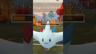 【ポケモンGOバトル448】これで連勝記録伸ばしました✨さあ今すぐ上の🐸マークをタップして👍ampチャンネル登録しよう！！ココチAチャンネルオリジナルポケモンGOバトル動画がいつでもどこでも見放題だ [upl. by Anivol808]