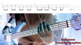 Rhinoceros by Smashing Pumpkins  Bass Cover with Tabs PlayAlong [upl. by Raycher457]