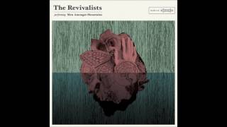 The Revivalists  Good Old Days Official Video [upl. by Aciretal]