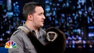 Jeff Musial Otters Gibbon and Water Buffalo Part 2 Late Night with Jimmy Fallon [upl. by Stephenson]