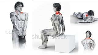 6 Best Neck Strain Exercises [upl. by Toddy264]