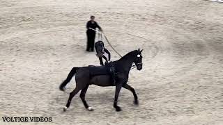 FEI Vaulting World Cup Final Basel 2024  Kimberly Palmer USA  Tech Test [upl. by Munford]